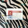 Libya driving license PSD files, scan look and photographed image, 2 in 1