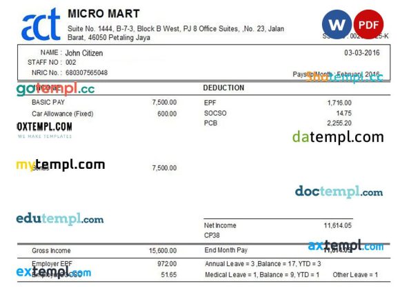 MALAYSIA MICRO MART payslip example in Word and PDF formats