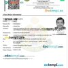 Malaysian e-pass multiple entry visa PSD example, completely editable, with fonts