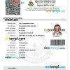 Malaysian electronic visa PSD example, fully editable