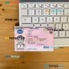 Macedonia driving license editable PSD files, scan look and photo-realistic look, 2 in 1,