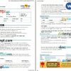 MakeMyTrip + Go Air airplane e-ticket, Word and PDF download template, 3 pages