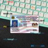 Malaysia driving license editable PSD files, scan look and photo-realistic look, 2 in 1 (version 2)