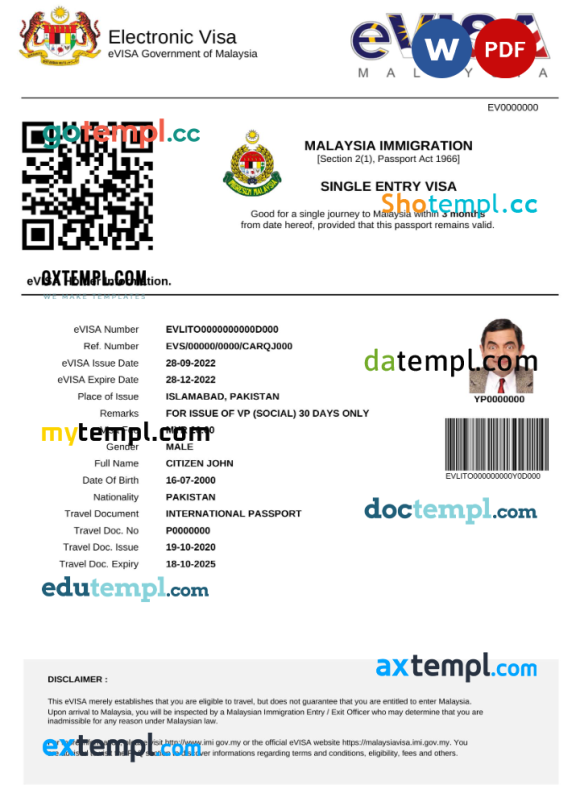 Malaysian e-visa Word and PDF example