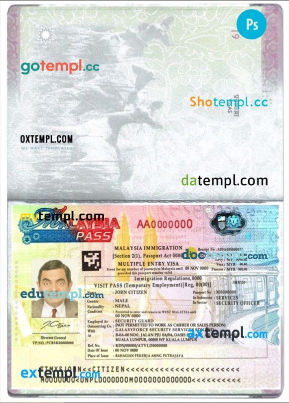 Malaysian multiple entry visa example in PSD format, fully editable