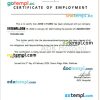 Maldives ADK Hospital certificate of employment Word and PDF download template
