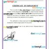 Micronesia Chuuk Dental Clinic certificate of employment Word and PDF download template