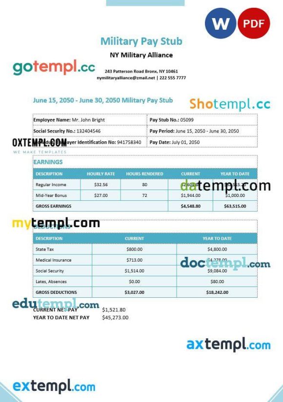 Military paystub Word and PDF example