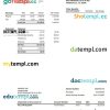 Mobile INK earnings statement Word and PDF example