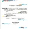 Morocco Agma Lahlou Tazi certificate of employment Word and PDF download template