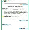 Mozambique Biodente Laboratory Dental Clinic certificate of employment Word and PDF download template