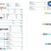 Mraz and Sons earnings statement Word and PDF example