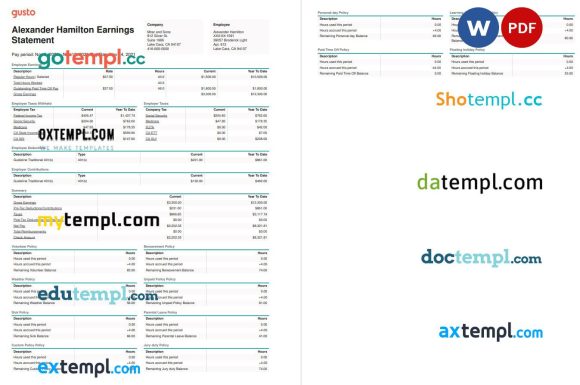 Mraz and Sons earnings statement Word and PDF example