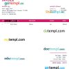Music Festival Invoice example in word and pdf format