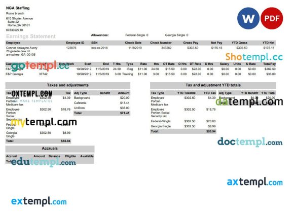 NGA Staffing pay stub example in PDF and Word format