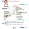Nigerienia electronic travel visa PSD example, completely editable, with fonts