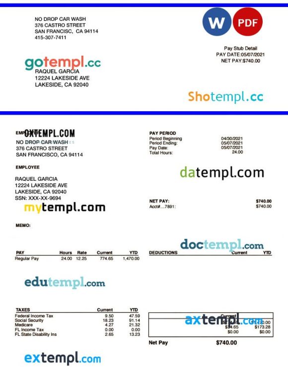 NO DROP CAR WASH pay stub example in PDF and Word formats