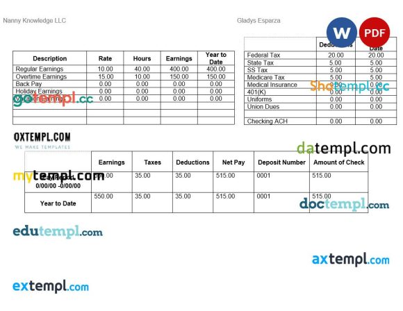 Nanny Knowledge LLC pay stub Word and PDF example