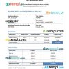 Nanny paystub Word and PDF example