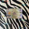 Nepal driving license editable PSD files, scan look and photo-realistic look, 2 in 1 (version 2)