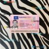 Netherland new driving license editable PSD files, scan look and photo-realistic look, 2 in 1