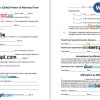 New Hampshire Minor Child Parental Power of Attorney example, fully editable