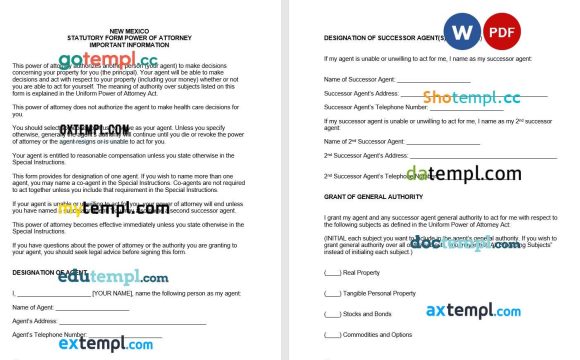 New Mexican Statutory Durable Power of Attorney Form example, fully editable version 1