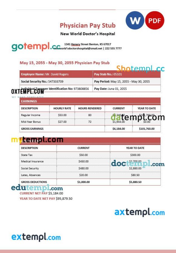 New World Doctor’s Hospital Physician Pay Stub example in PDF and Word formats