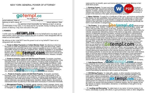 New York General Power of Attorney example, fully editable
