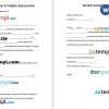 New York Power of Attorney Revocation Form example, fully editable