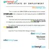 Nicaragua Vivian Pellas Hospital certificate of employment Word and PDF download template