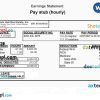 ORLANDO HUB REAL ESTATE inc earnings statement example in PDF and Word format