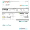 Oceanview medical paystub Word and PDF example