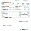 Ontop company earnings statement example in PDF and Word format