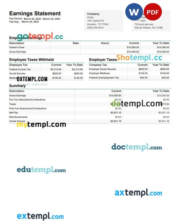 Ontop company earnings statement example in PDF and Word format