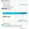 Optical Store Invoice example in word and pdf format