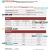 La Belle Organisation Paystub Word and PDF example