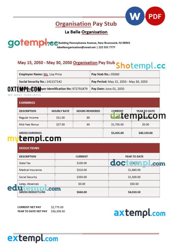 La Belle Organisation Paystub Word and PDF example