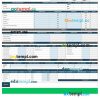 Organization Paystub Word and PDF example