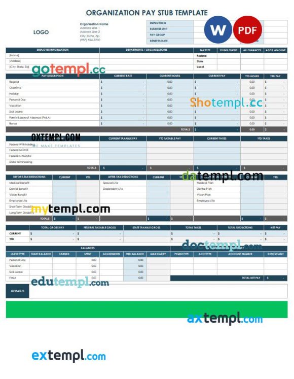 Organization Paystub Word and PDF example