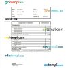 PAKISTAN TMIRCO company earning statement example in Word and PDF formats