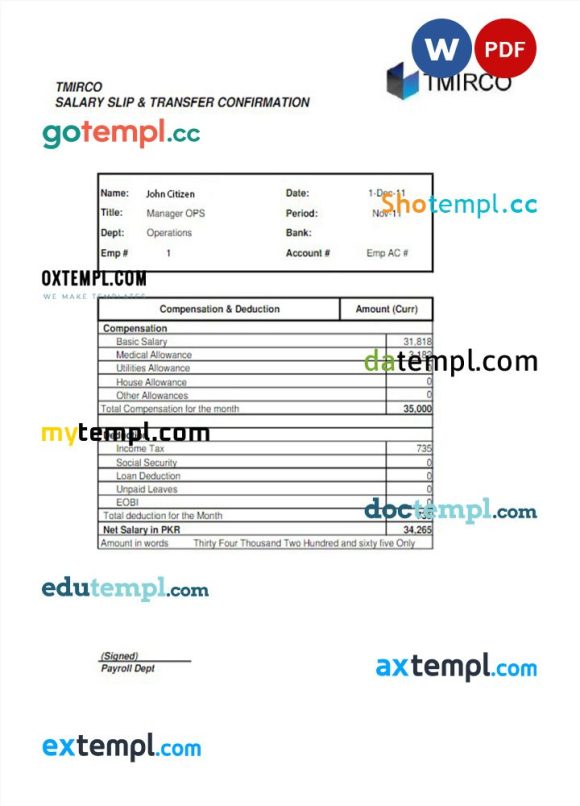 PAKISTAN TMIRCO company earning statement example in Word and PDF formats