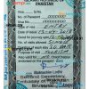 Pakistani entry visa PSD example, with fonts