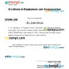 Philippines Dunamis Power Generators and Industrial Supplies Corporation certificate of employment and compensation Word and PDF download template