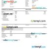 Filipino Pro Source Global BPO Inc. paystub example in Word and PDF format