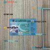 Pakistan City Traffic Police Lahore driving license PSD files, scan look and photographed image, 2 in 1