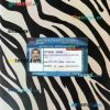 Pakistan driving license editable PSD files, scan look and photo-realistic look, 2 in 1