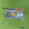 Pakistan Islamabad driving license editable PSD files, scan look and photo-realistic look, 2 in 1 - Image 2