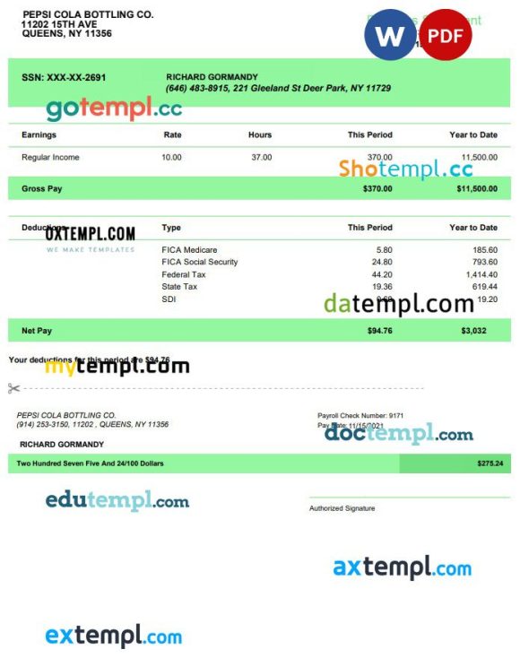 Pepsi Cola bottling co earnings statement example in PDF and Word formats