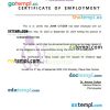 Papua New Guinea Pacific International Hospital certificate of employment Word and PDF download template
